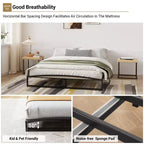 Cadre de lit plateforme en métal Queen Size avec arche, profil de 25,4 cm, lattes robustes